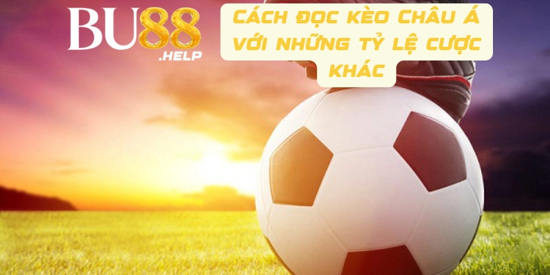 Cách đọc kèo Châu Á với những tỷ lệ cược khác mà anh em cần nắm rõ